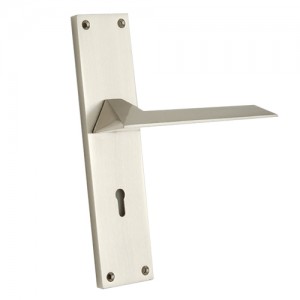 "Calcol" Zinc Handle with Back Plate